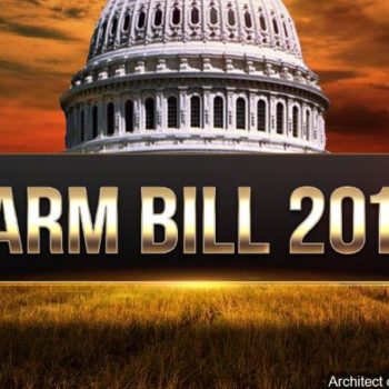Small Gains, Big Disappointments in Status Quo Farm Bill