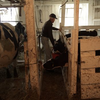 Dairy Farmer Relief Campaign to Launch at Farm Aid