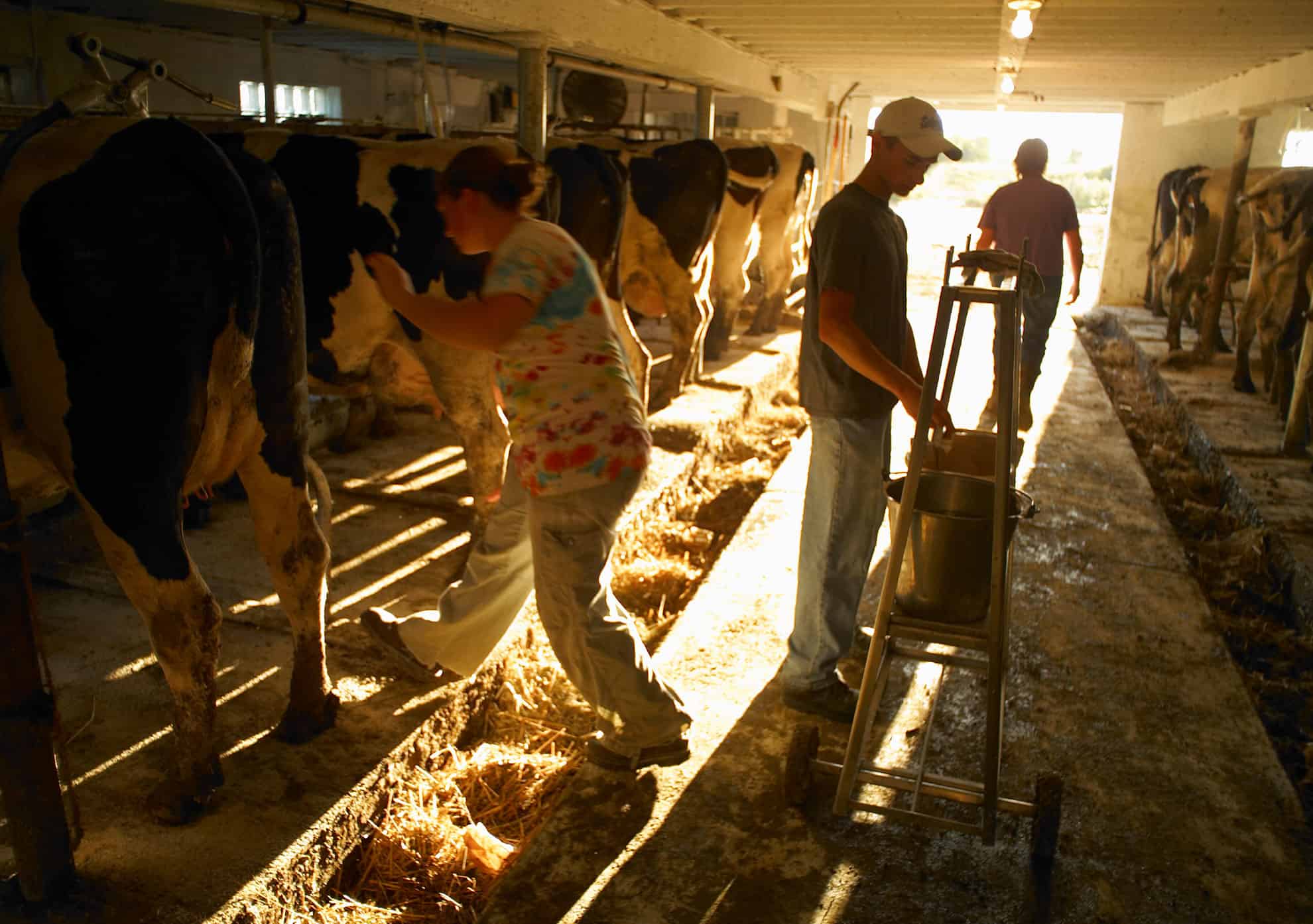 Resources National Family Farm Coalition