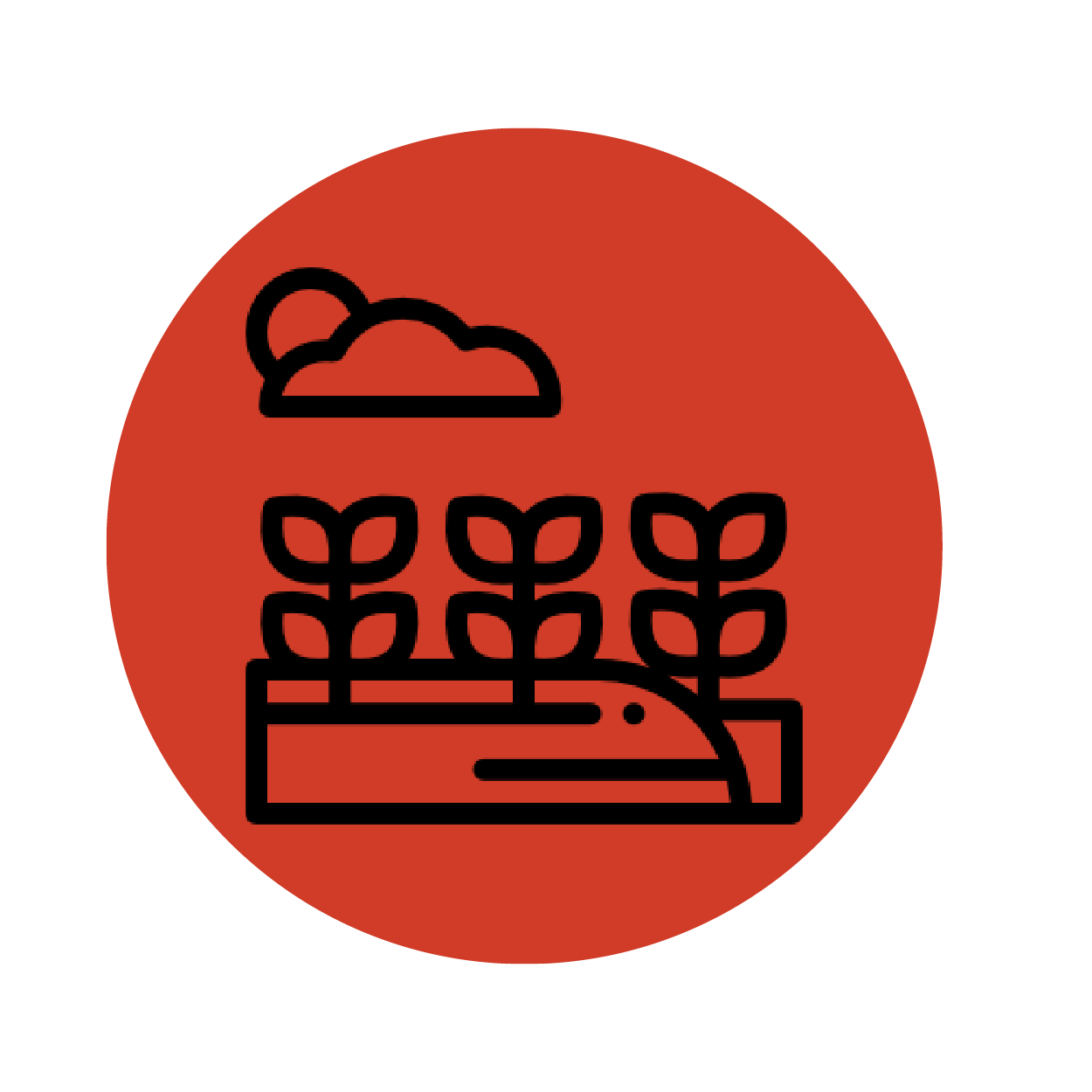 Farm Bill Platform National Family Farm Coalition